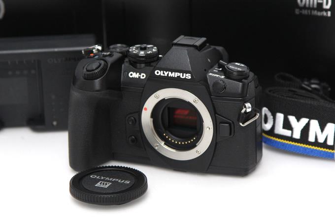 シャッター数 205】OLYMPUS OM-D E-M1 Mark II シャッター数 205