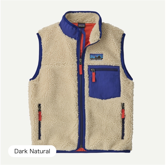 Patagonia Men's Lined Canvas Hoody | real surf shop