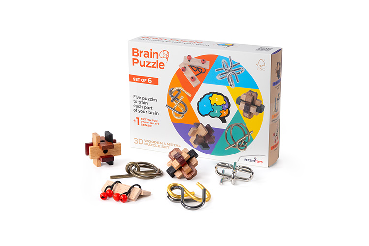 Brain Puzzle Set of 6 - Recent Toys