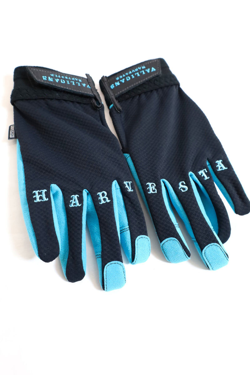 HARVESTA! / GRIPSWANY×VALLICANS 野外活動用グローブ – redtriangle