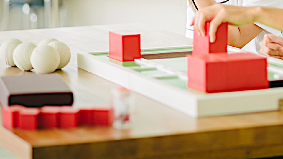 実習対策講座｜簡易上肢機能検査（STEF：Simple for Test Evaluating