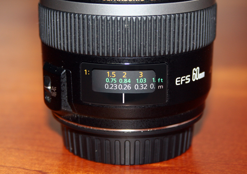 マクロレンズで写真撮影 キヤノンの単焦点レンズ