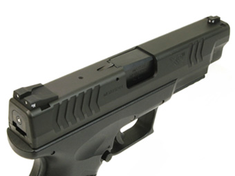 LayLax トリチウムサイト XDM-40対応 | ミリタリーショップ レプマート