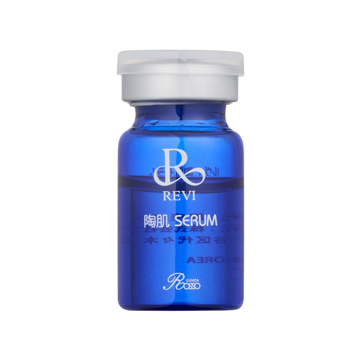 REVI スプレーガン（陶肌セラム30本セット）