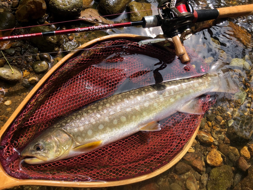 Fishman Fishman ビームス ローワー 6.2L FB-62L トラウトロッド - 最