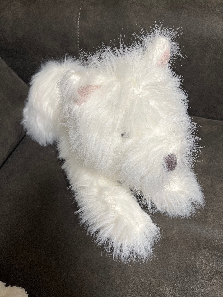 gelato pique Sleep クッション クッションカバー 「Sleep」ウェスティ