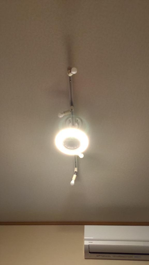 ドウシシャ サーキュライト メガシリーズ E26モデル 調色3段階 調光5