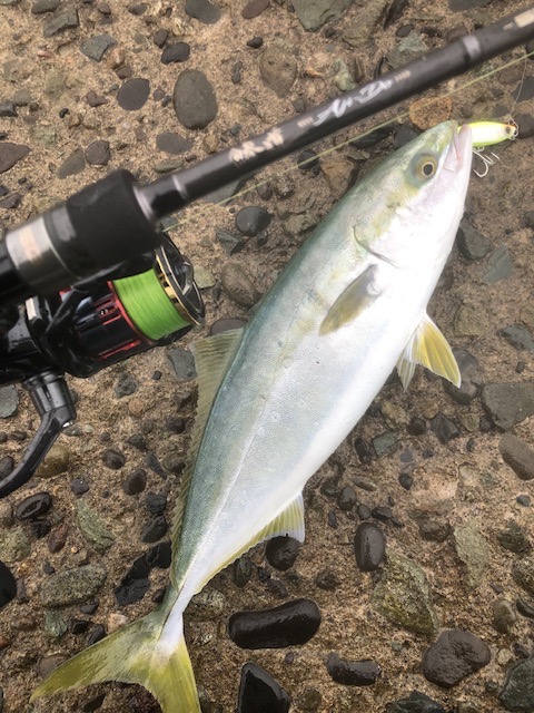 Major Craft（メジャークラフト） 鯵道 5G AD5-S832FC/AJI 釣竿 送料