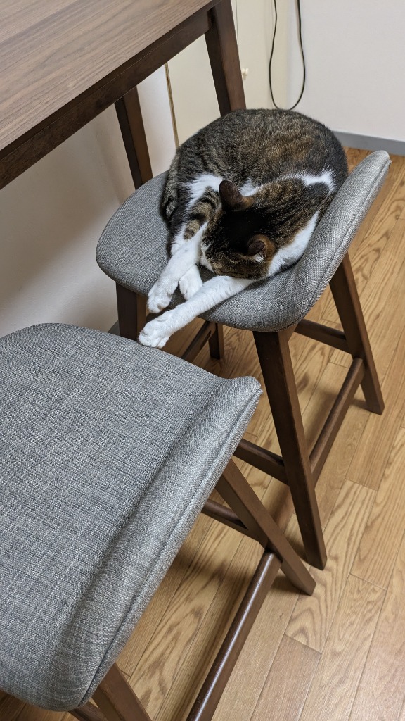 ニトリ（NITORI） カウンターチェア (フィルン OC MBR/GY） : ニトリ