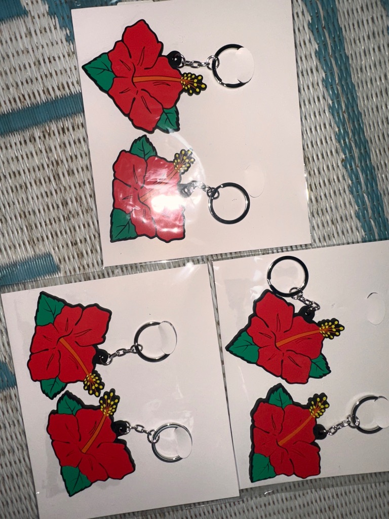 Pioneer（パイオニア） パイオニア承認 HANAHANA ラバーキーホルダー 2