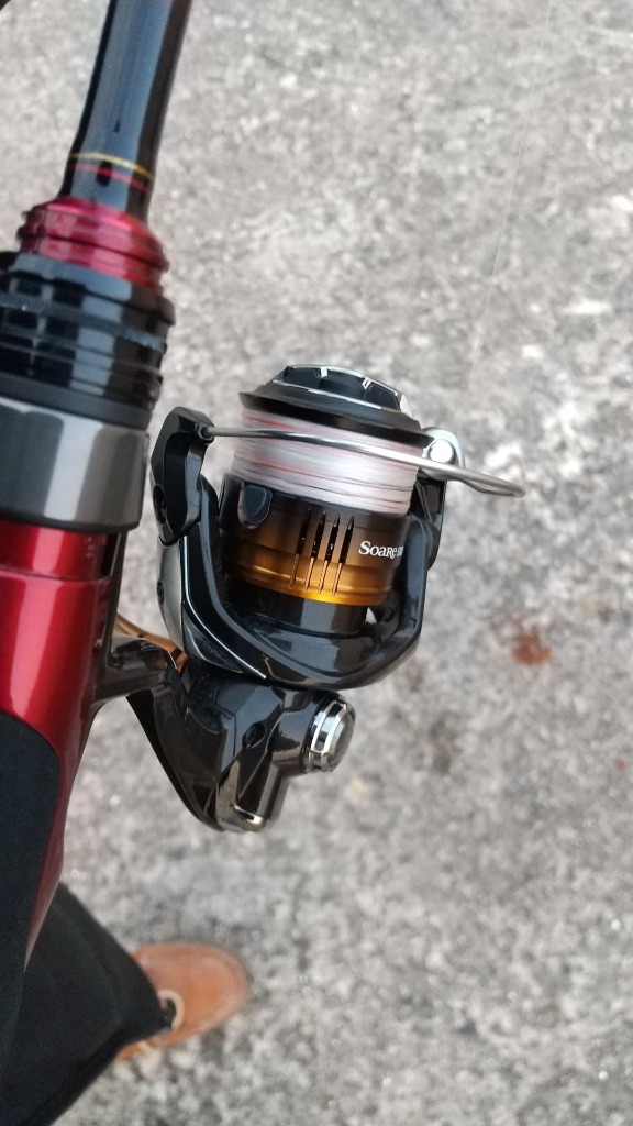 シマノ（SHIMANO） スピニングリール ソアレ BB C2000SSPG アジング