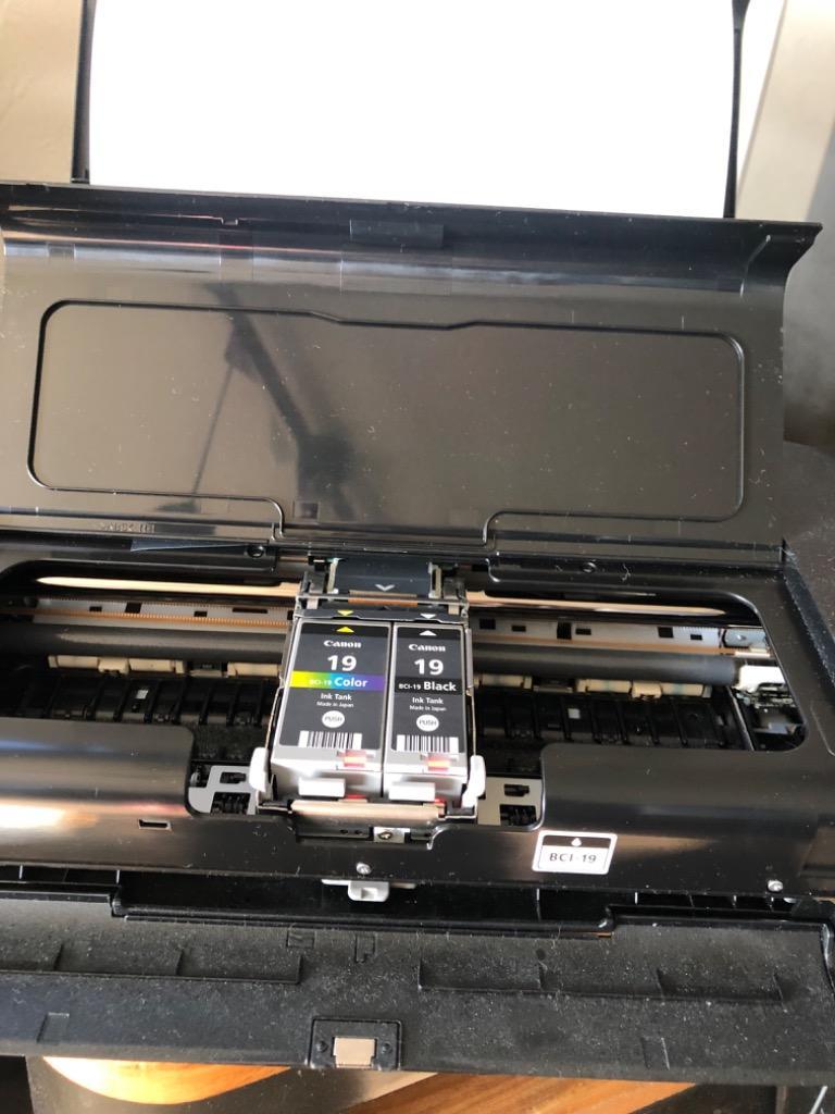 キヤノン（Canon） 純正BCI-19 インクカートリッジ FINEカートリッジ
