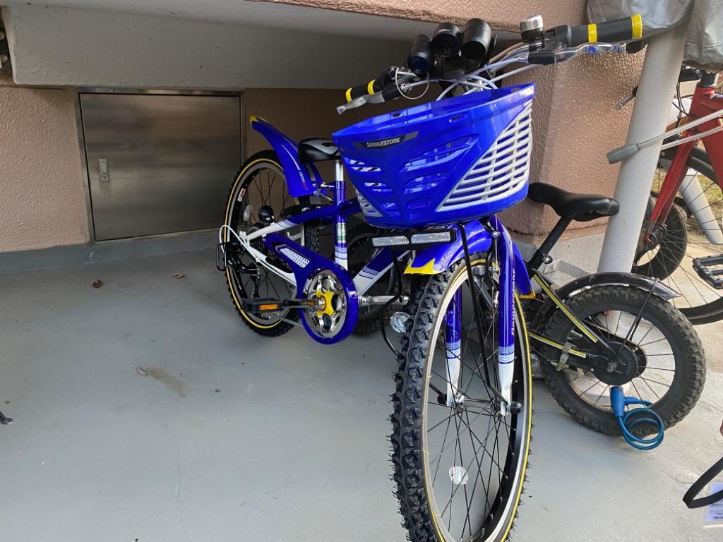 BRIDGESTONE（ブリヂストン） 子供用自転車 クロスファイヤージュニア