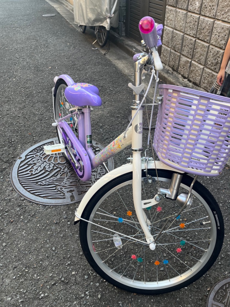 BRIDGESTONE（ブリヂストン） 子供用自転車 エコパル 20インチ EPL001