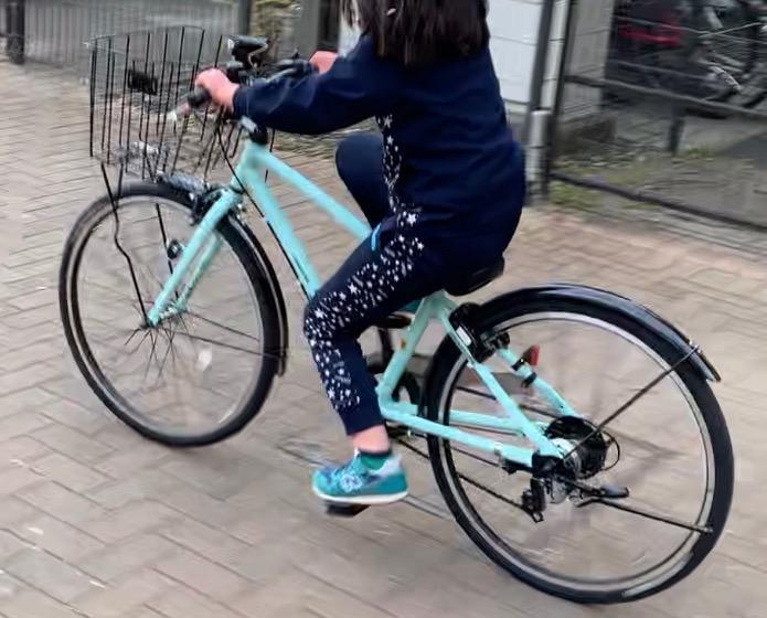 子供用自転車 ブリヂストン シュライン 24インチ SHL45 7段変速