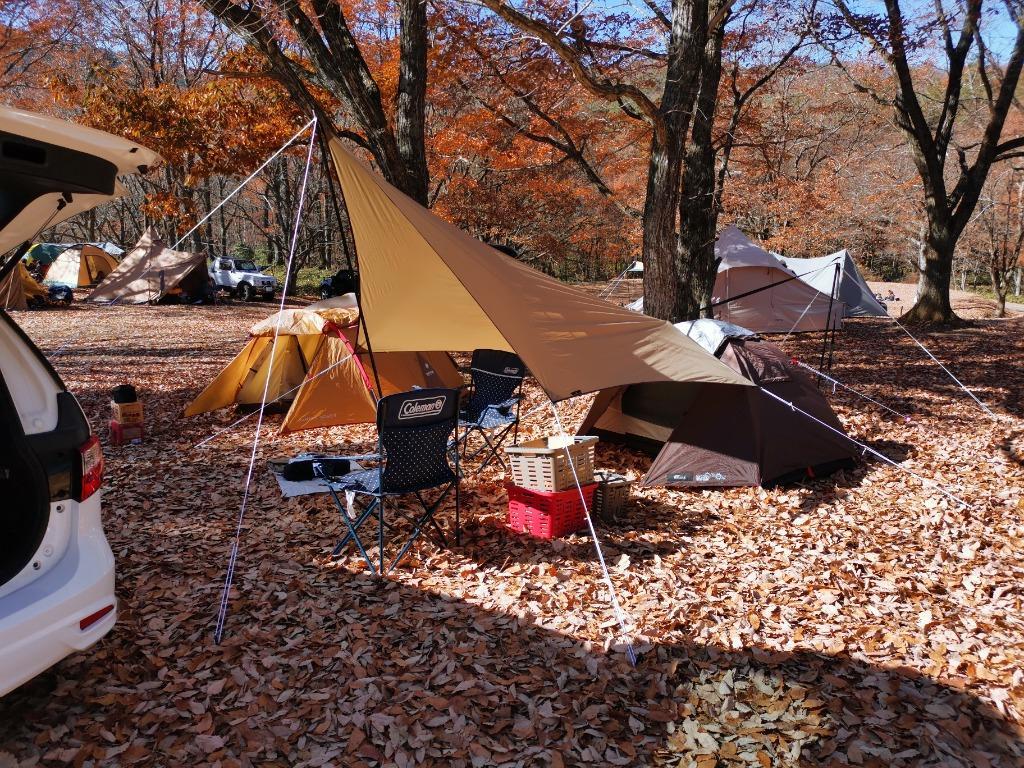 ogawa オガワ SystemTarp Penta 3×3 システムタープペンタ3×3 3337 80