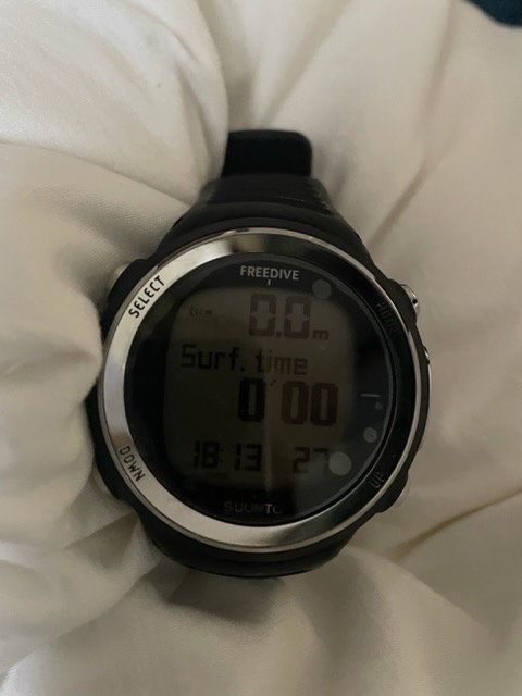 SUUNTO（スント） ダイブコンピュータ D4F ウォッチタイプ フリー