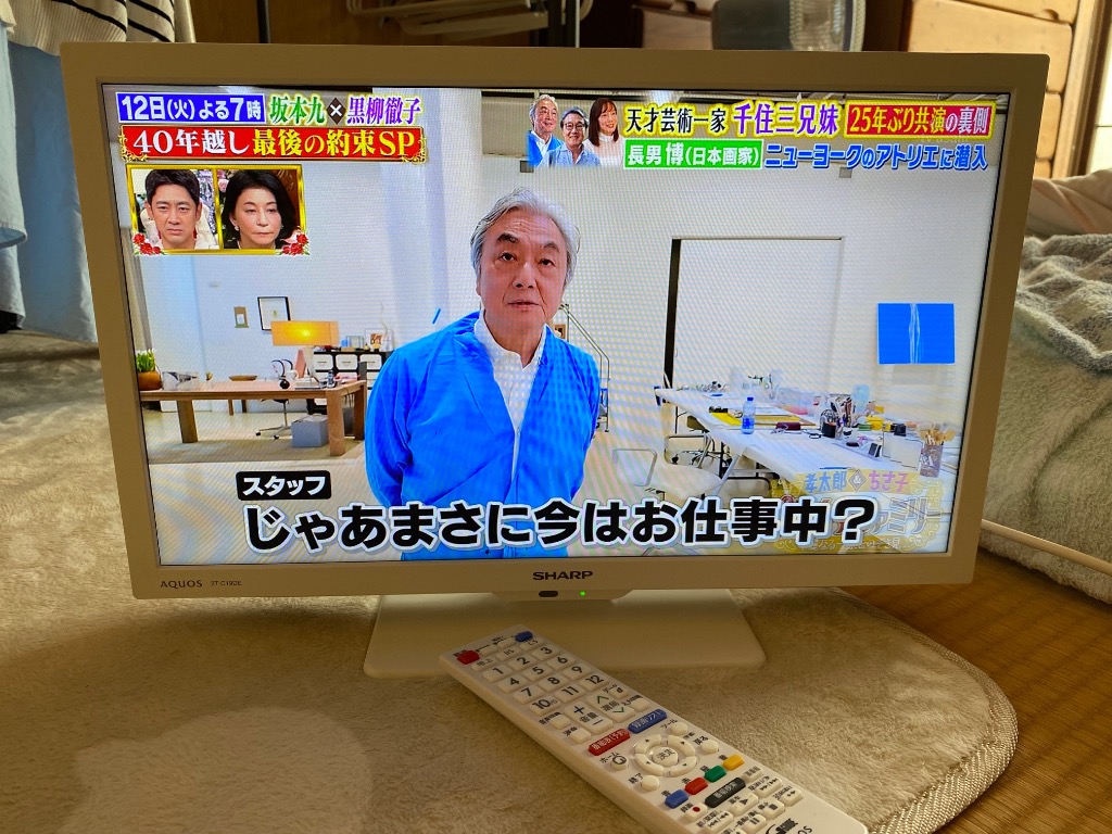 AQUOS シャープ 2T-C19DE-W 19型液晶テレビ SHARP AQUOS 2TC19DEW