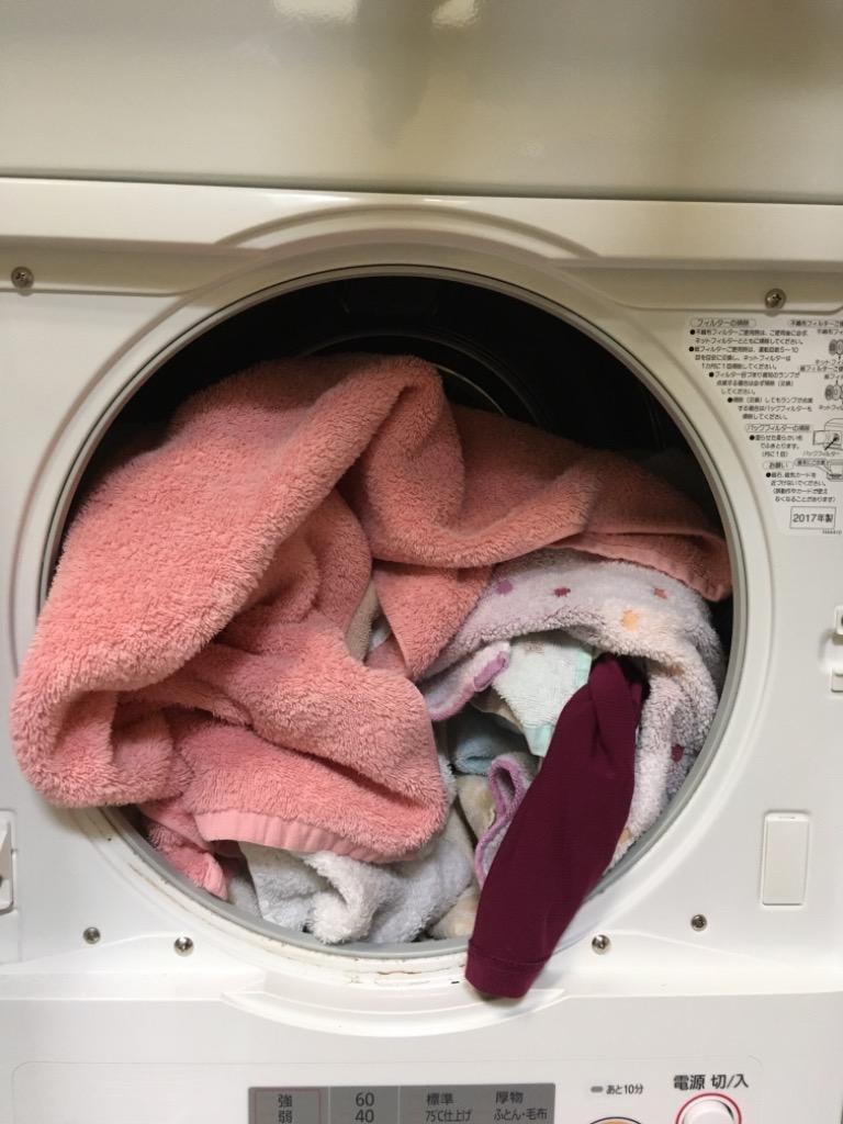 Panasonic（パナソニック） 衣類乾燥機 NH-D603-W ホワイト 乾燥容量