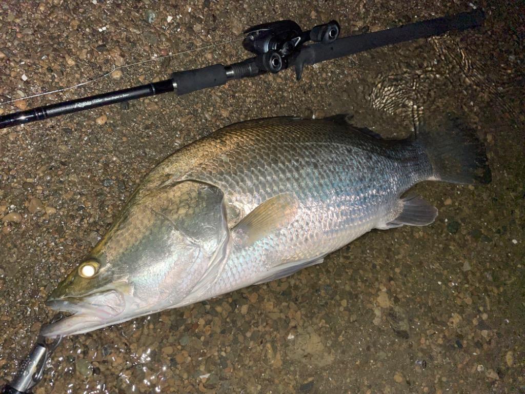 RippleFisher MonsterImpact 91BH / モンスターインパクト シーバス