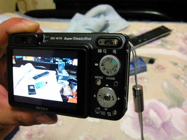 SONY サイバーショット DSC-W170投稿画像・動画 (レビュー) - 価格.com