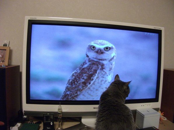 シャープ AQUOS LC-37DS5 [37インチ]投稿画像・動画 - 価格.com