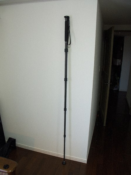 GITZO 3シリーズ 5段 6Xカーボン一脚 GM3551 価格比較 - 価格.com