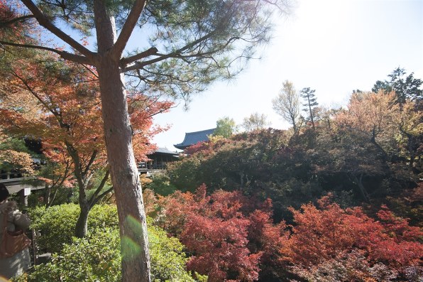 TOKINA AT-X 17-35 F4 PRO FX 17-35mm F4 [ニコン用] レビュー評価