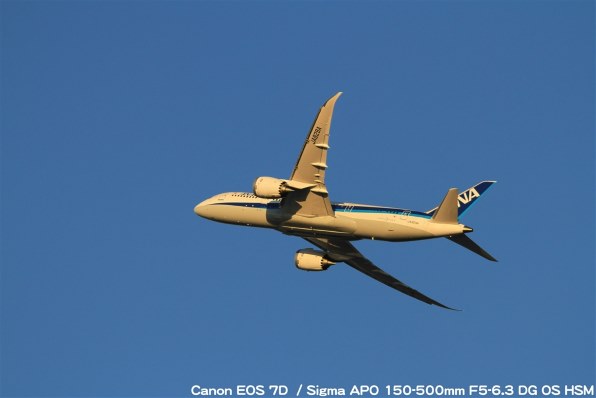 シグマ APO 150-500mm F5-6.3 DG OS HSM (ｷﾔﾉﾝ用)投稿画像・動画