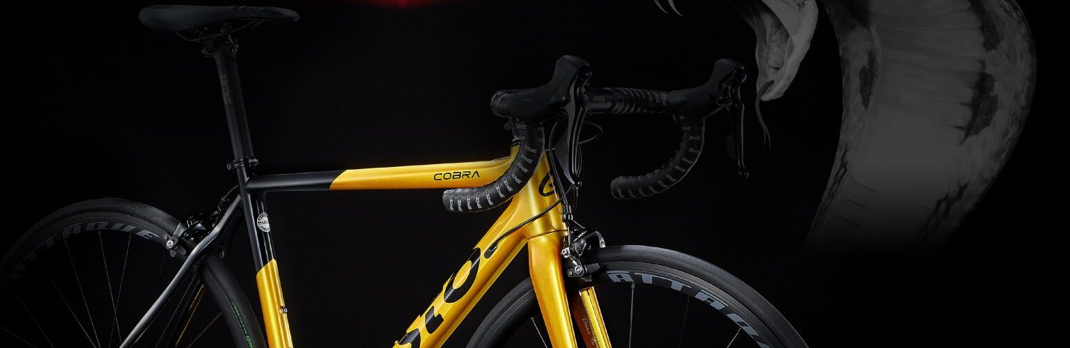 2022 グスト ニューモデル「コブラ」登場！！ | BICYCLE STUDIO R-FACTORY