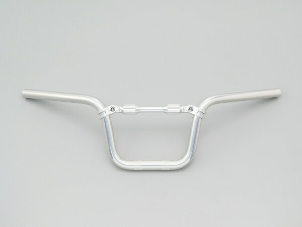 楽天市場】デイトナ DAYTONA ライドバー2 MID ブラック 65660 | 価格