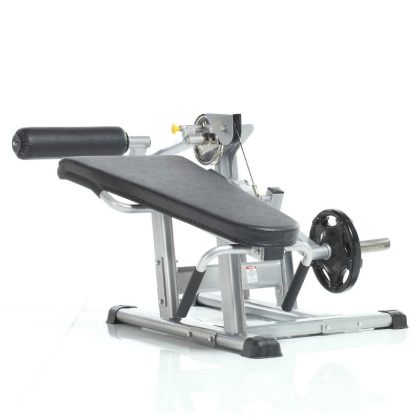 楽天市場】大腿の表と裏をしっかり鍛える TUFF STUFF タフスタッフ