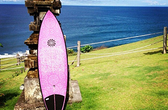 独占販売】Gary McNeill Concepts（GMCサーフボード）一流シェイパーの