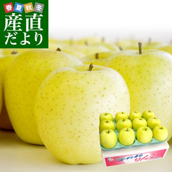 青森県より産地直送 JAつがる弘前 「王林」 約3キロ (9玉から13玉