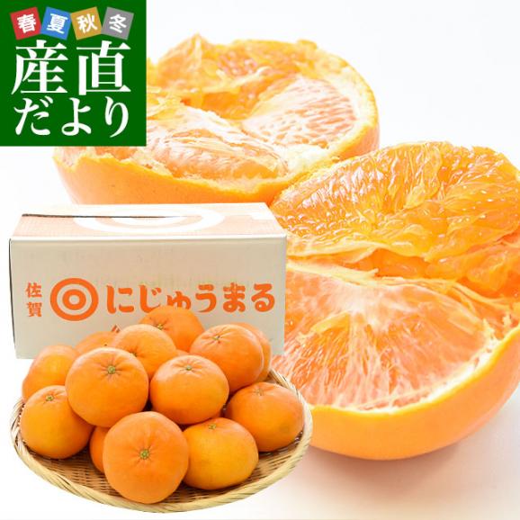 佐賀県より産地直送 JAグループ佐賀 にじゅうまる 4LからLサイズ 約5