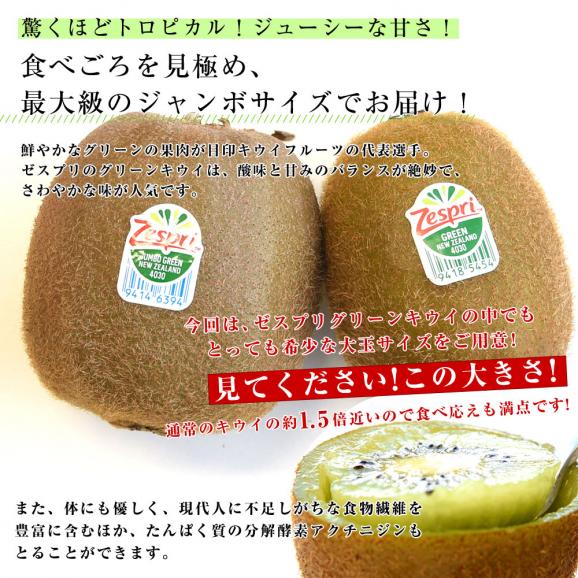 ニュージーランド産 ゼスプリ・グリーンキウイ 「ジャンボサイズ」 約