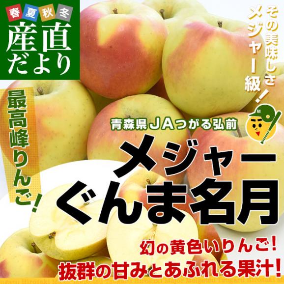 青森県より産地直送 JAつがる弘前 メジャー ぐんま名月 約3キロ（8玉