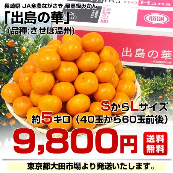 長崎県 JA全農ながさき 最高級みかん 出島の華 約5キロ SからLサイズ