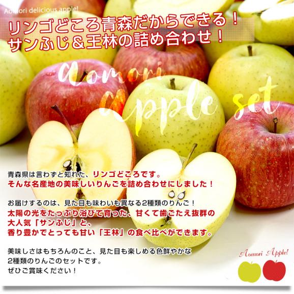 青森県産 JAつがる弘前 りんご詰め合わせ サンふじ＆王林 約3キロ 8玉