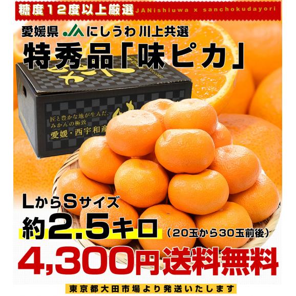 お歳暮 ギフト】愛媛県 JAにしうわ 川上共選 最高等級みかん「味ピカ