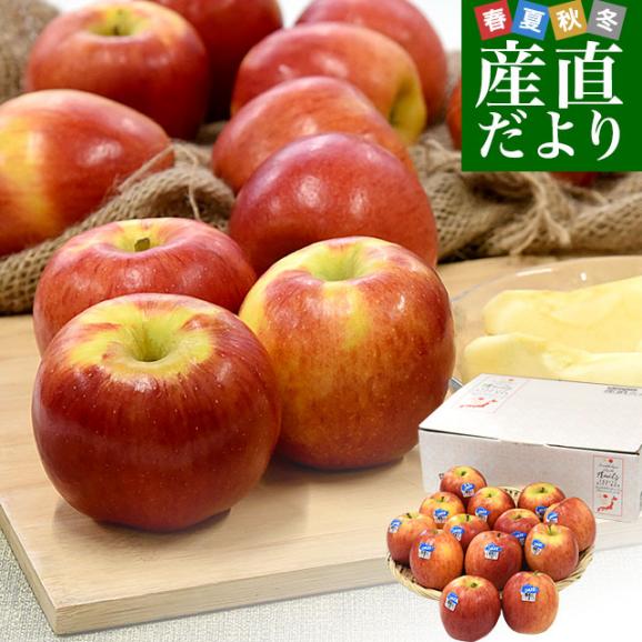 ニュージーランド産 JAZZりんご(品種:サイフレッシュ) 約2.6キロ(12玉