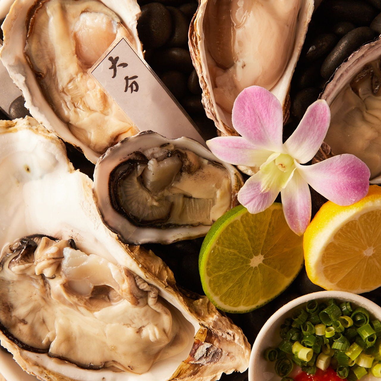 ブランド生牡蠣と極み牛タン おいすたん 関内南口本店（関内・馬車道