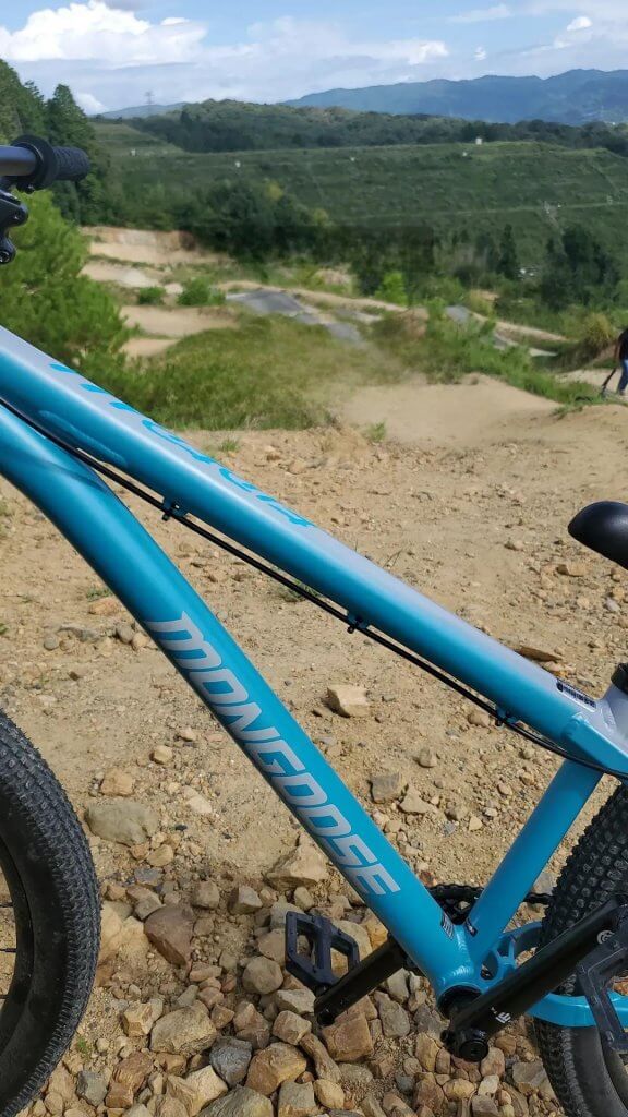 BORN IN DIRT - モトクロスインターナショナル