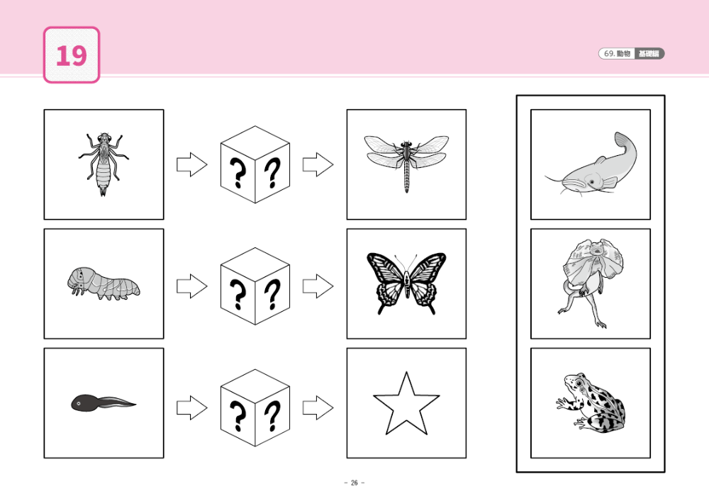 69 単元別ばっちりくんドリル 動物(基礎編)｜小学校受験 合格対策問題