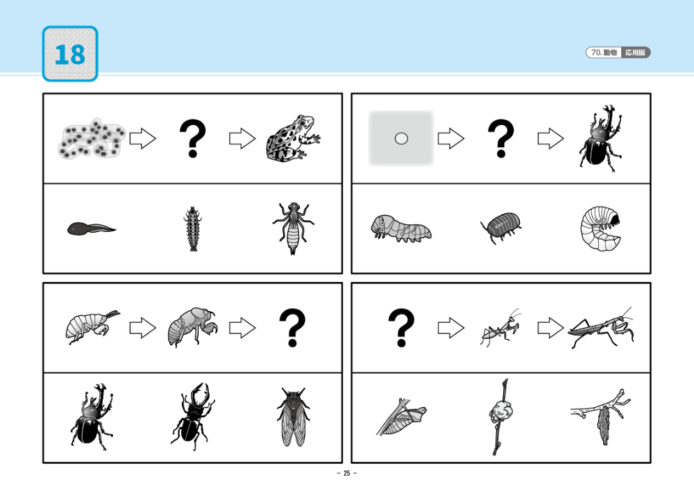 70 単元別ばっちりくんドリル 動物(応用編)｜小学校受験 合格対策問題