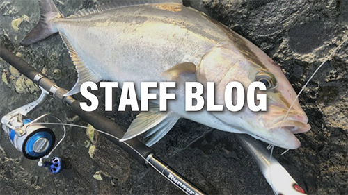 RunnerExceed 100SXH FINAL STAND UP :DISCONTINUED in 2024