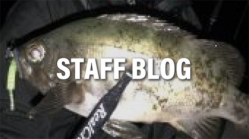 RealCrescent RC-65 | リップルフィッシャーリップルフィッシャー