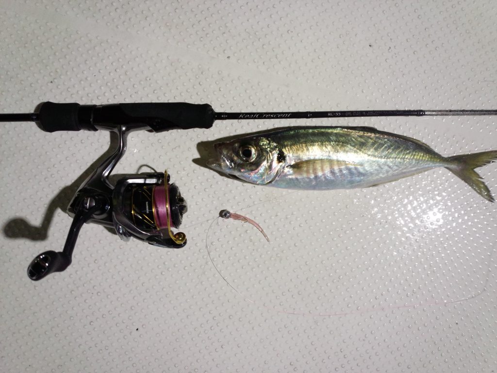 Real Crescent RC-55 ボートアジングのレポートです。 | リップル