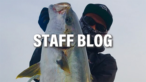 Aquila MLT 82-3/6 | リップルフィッシャーリップルフィッシャー