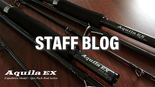 Aquila EX 83-6 | リップルフィッシャーリップルフィッシャー